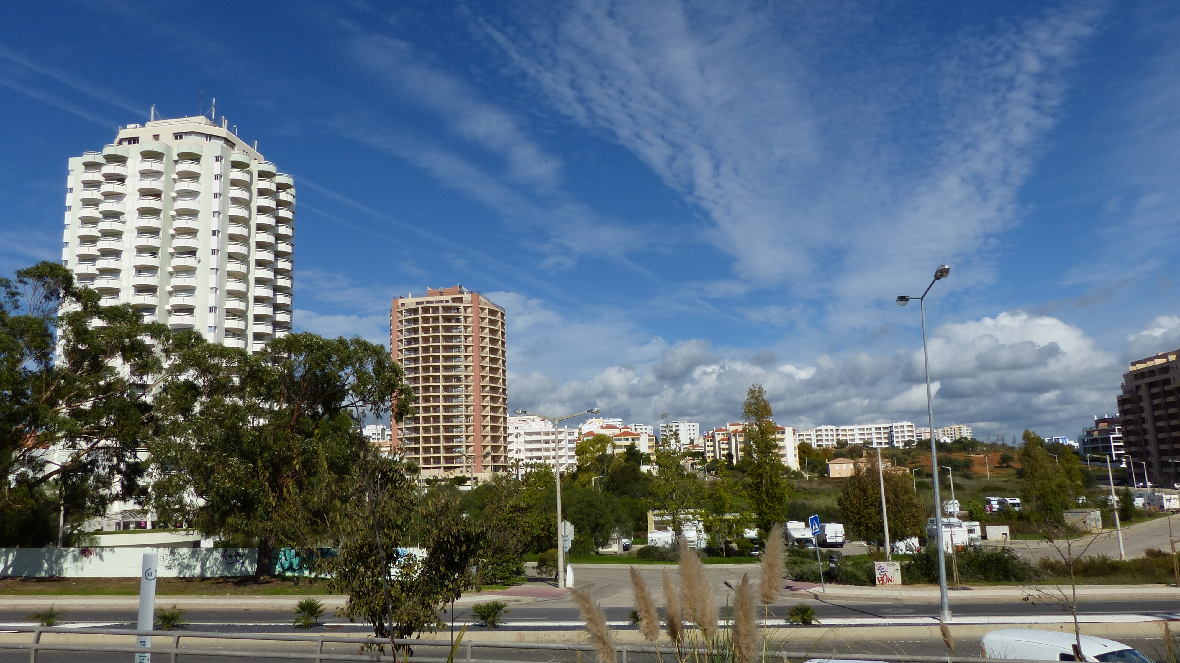 P1060563.JPG